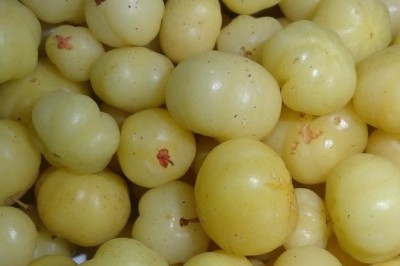 सर्दियों का सुपरफूड: आंवला और उससे बनी 5 बेहतरीन रेसिपी